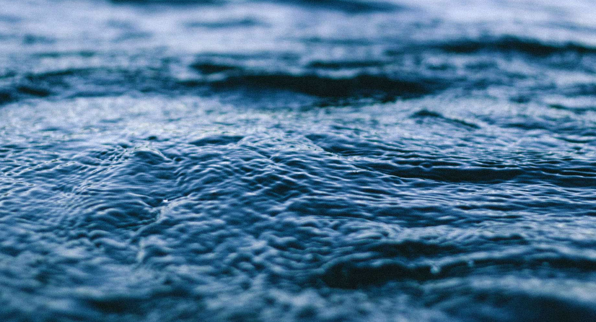 THE BLUE OCEAN WAVES